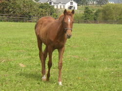 �����X�^���I���X�e�[�V�����ɂāB����͉��Ĕn�������E�E�B