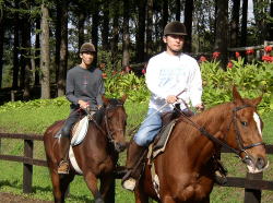 �n�ɏ��Q�l�B�O���x�����Ō�낪�P���B