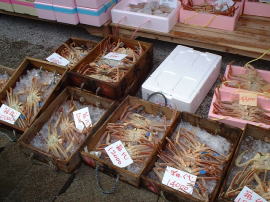 ���s�Ŕ����Ă����J�j�B