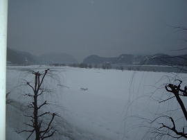 �z�e���̑����猩���i�F